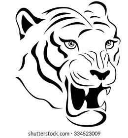 Aggressive tiger head close-up, hand drawing vector outline isolated on a white background
