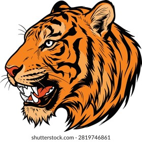 Aggressive tiger head illustration snarling with sharp teeth and intense gaze powerful wild animal symbol