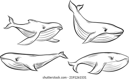 Mascota de ballena agresiva, ilustración dibujada a mano.