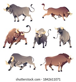 Aggressive wild animals front, back view and profile. Isolated corrida bulls, angry ox or buffalo. Dangerous wildlife, mascot of power and aggression. Character or livestock, vector in flat style
