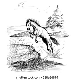 aggressive wild horse galloping across the river