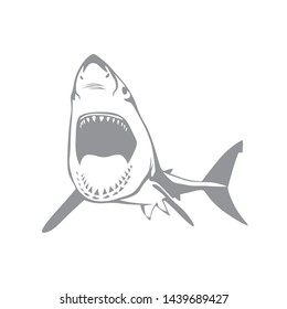 Aggressive wild shark vector illustration