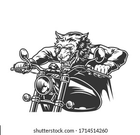 Aggressive wolf head rider driving motorcycle in vintage monochrome style isolated vector illustration