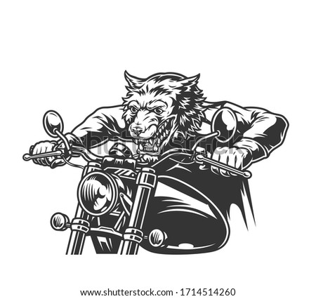 Aggressive wolf head rider driving motorcycle in vintage monochrome style isolated vector illustration