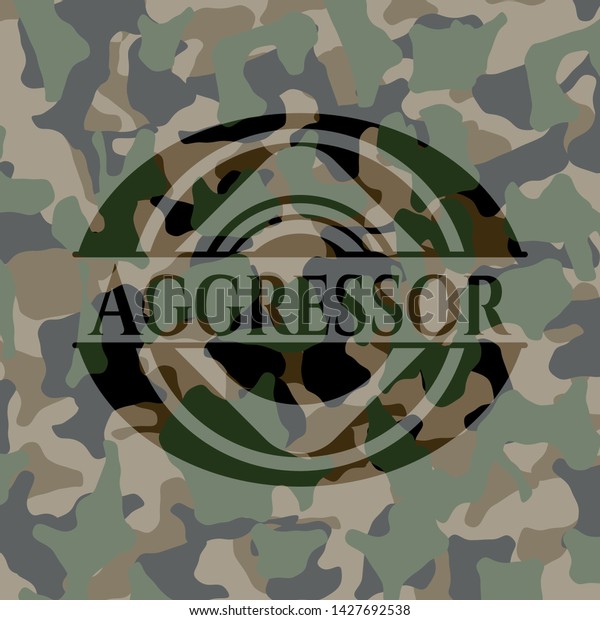 Aggressor Camouflage Emblem Vector Illustration Detailed Stock Vector ...