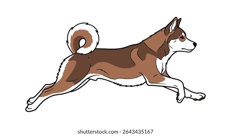Agile Canine Friend Leaping Through the Air with Poise and Determination of Pure Breed