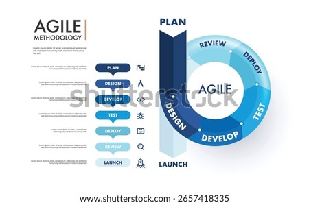 Agile methodology sprint life cycle chart. infographic software development. vector