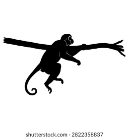 Agile spider monkey silhouette hanging on branch isolated design