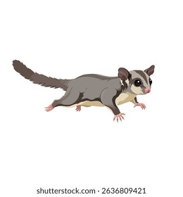 Agile Sugar Glider Marsupial Gliding Through Air on Isolated White Background