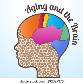  Aging And The Brain Woman Profile 