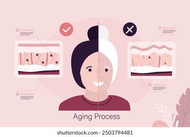 Aging process, faces of young and old women. skin aging infographic. Young skin is strong with collagen. Comparison, Faces with two skin types - aged and young. flat vector illustration