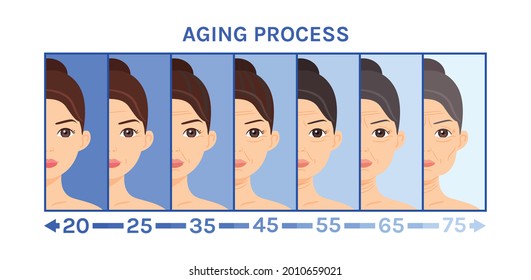 Aging Process of a Woman. Wrinkles, Sagging Skin, Age Related Changes on Half of Face. Face Correction. Brown, Gray Hair. Lady of Difference Ages. Image for medical design, beauty, education. Vector