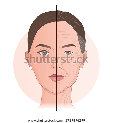 Aging Skin Concept – Half Young and Half Old Woman Face Comparison, Wrinkles and Anti Aging Skincare Illustration
