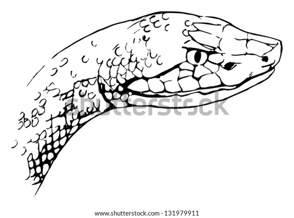 Agkistrodon Contortrix Copperhead Snake Stock Vector (Royalty Free ...