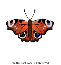 Aglais io, european peacock butterfly. Patterned red insect, colourful lepidoptera animal with ornamented wings. Exotic fauna. Flat isolated hand drawn vector illustration on white background