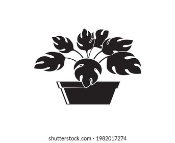 símbolo del vector del icono de la flor de aglaonema