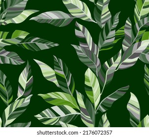 Aglaonema leaves floral vector seamless pattern. Striped texture colorful bush foliage. Fabric print with calathea twigs. Summer endless pattern with tropical leaves. Wallpaper cute design