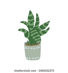 Aglaonema. Pot plant. Houseplant isolated on white background. Vector illustration in hand-drawn flat
