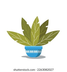 aglonema on blue pot vector design