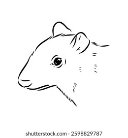 Agouti Vector Illustration Hand Drawn Animal Cartoon Art