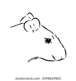 Agouti Vector Illustration Hand Drawn Animal Cartoon Art