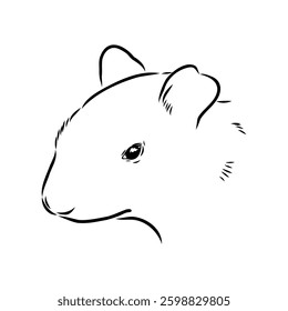 Agouti Vector Illustration Hand Drawn Animal Cartoon Art