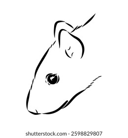 Agouti Vector Illustration Hand Drawn Animal Cartoon Art