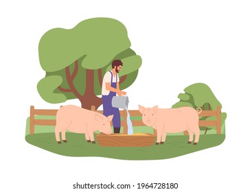 Agrarian pouring water from bucket into wooden trough for pigs. Young farmer feeding domestic swines in farm. Livestock care concept. Colored flat vector illustration isolated on white background