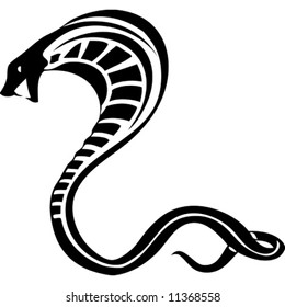 Agressive cobra vector illustration