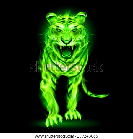 Agressive green fire tiger isolated on black background.