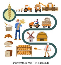 Agribusiness. Agriculture concept set with cultivation of wheat and the history of bread making. Vector illustration isolated on white background