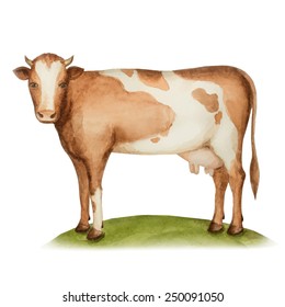 Agricultural animal, a cow standing on a green meadow, watercolor, vector illustration.