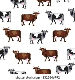 Agricultural background with cows. Cows on white background