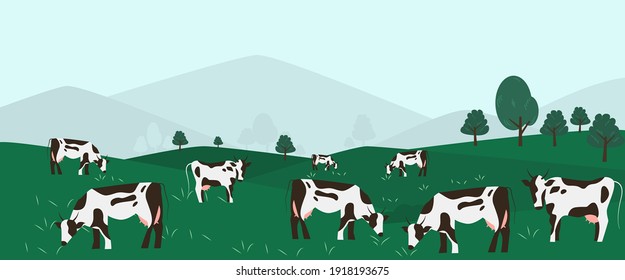 Agricultural business cards. Cows farming on green meadow agricultural business concept. Calves eating fresh herb. Rural animal field vector illustration. Cattle livestock farmer industry banner.