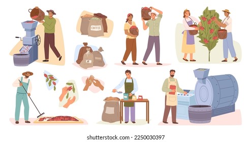 Agricultural business, people growing coffee beans at farm. Production of arabica or robusta, grinding and selling. Farmers working at factory. Vector in flat style