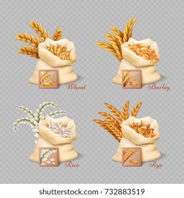 Agricultural cereals sacks isolated on transparent background. Grain harvest barley and rice, vector illustration