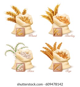 Agricultural cereals - wheat, barley, oat and rice vector. Set of sacks with grains oat and wheat, illustration of barley grain and rice