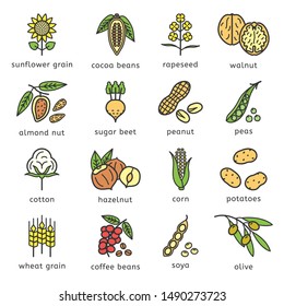 Agricultural commodities of the plant origin icons set in flat style design with editable stroke outline. Main plant products of the agro-industrial complex. Nuts, Legumes, Grain, Cotton, Vegetable
