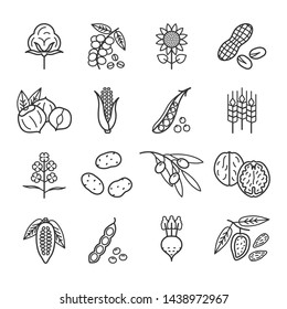 Agricultural commodities of vegetable origin linear icons set. Main plant products of the agro-industrial complex. Nuts, Legumes, Oil, Grain, Sugar, Coffee, Cocoa