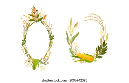 Agricultural Composition with Different Spikelet and Grain Crop Like Corn and Wheatear Vector Set
