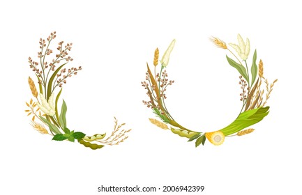 Agricultural Composition with Different Spikelet and Grain Crop Like Corn and Wheatear Vector Set