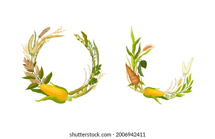 Agricultural Composition with Different Spikelet and Grain Crop Like Corn and Wheatear Vector Set