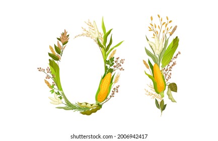 Agricultural Composition with Different Spikelet and Grain Crop Like Corn and Wheatear Vector Set