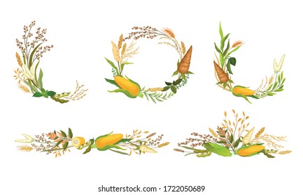 Agricultural Composition with Different Spikelets and Crops Like Corn and Wheatear Vector Set