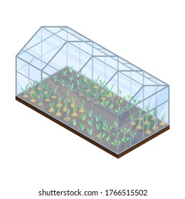 Agricultural Crops or Vegetables Growing on Germination Bed Vector Isometric Illustration