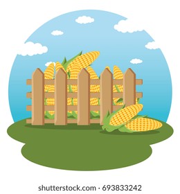 agricultural and farming concept