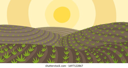 Agricultural field landscape. Growing young plant shoots. Plowed earth. Brown dirt. Crops began to sprout in the spring soil. Vector colour hand-drawn.