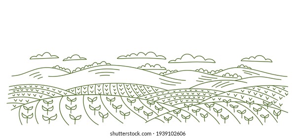 Agricultural field landscape. Seedlings of cereals. Rural countryside. Vector hand-drawn. Contour sketch line drawing.