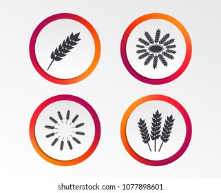 Agricultural icons. Gluten free or No gluten signs. Wreath of Wheat corn symbol. Infographic design buttons. Circle templates. Vector