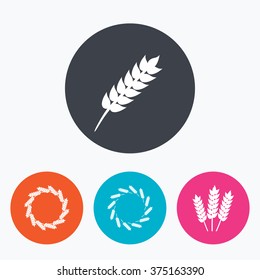 Agricultural icons. Gluten free or No gluten signs. Wreath of Wheat corn symbol. Circle flat buttons with icon.